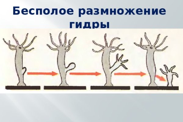 Kraken darknet market ссылка